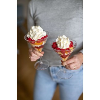 6 verres à cocktail 250 ml